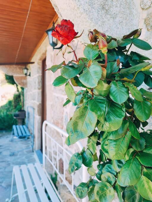 Vila Casa Cabreiros De Baixo Melgaço Exteriér fotografie